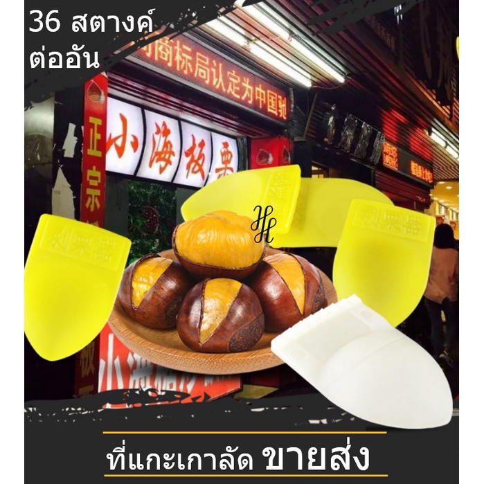 [Chestnut] พร้อมส่ง พลาสติกแกะเกาลัด ที่แกะเกาลัด ช้อนเกาลัด ขายส่ง ถูกที่สุดในไทย พร้อมส่งทันทีจากไทย