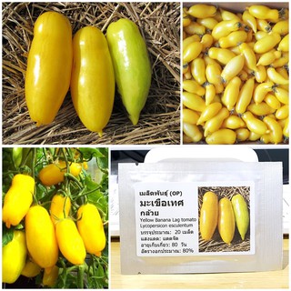 เมล็ดพันธุ์ มะเขือเทศกล้วย (Yellow Banana Lag Tomato Seed) บรรจุ 20 เมล็ด คุณภาพดี ราคาถูก ของแท้ 100%