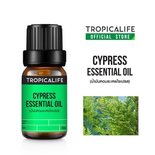 น้ำมันหอมระเหย ไซเปรสซ์ CYPRESS ESSENTIAL OIL ปริมาณ10 ml