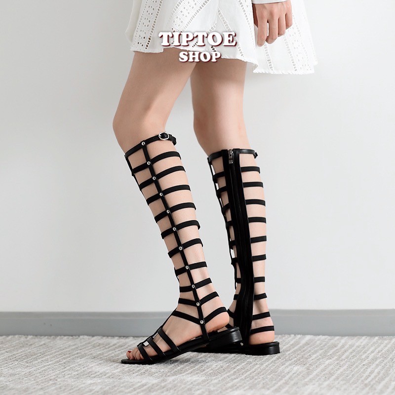 พร้อมส่ง 𝐺𝐿𝐴𝐷𝐼𝐴𝑇𝑂𝑅 - TIPTOESHOP