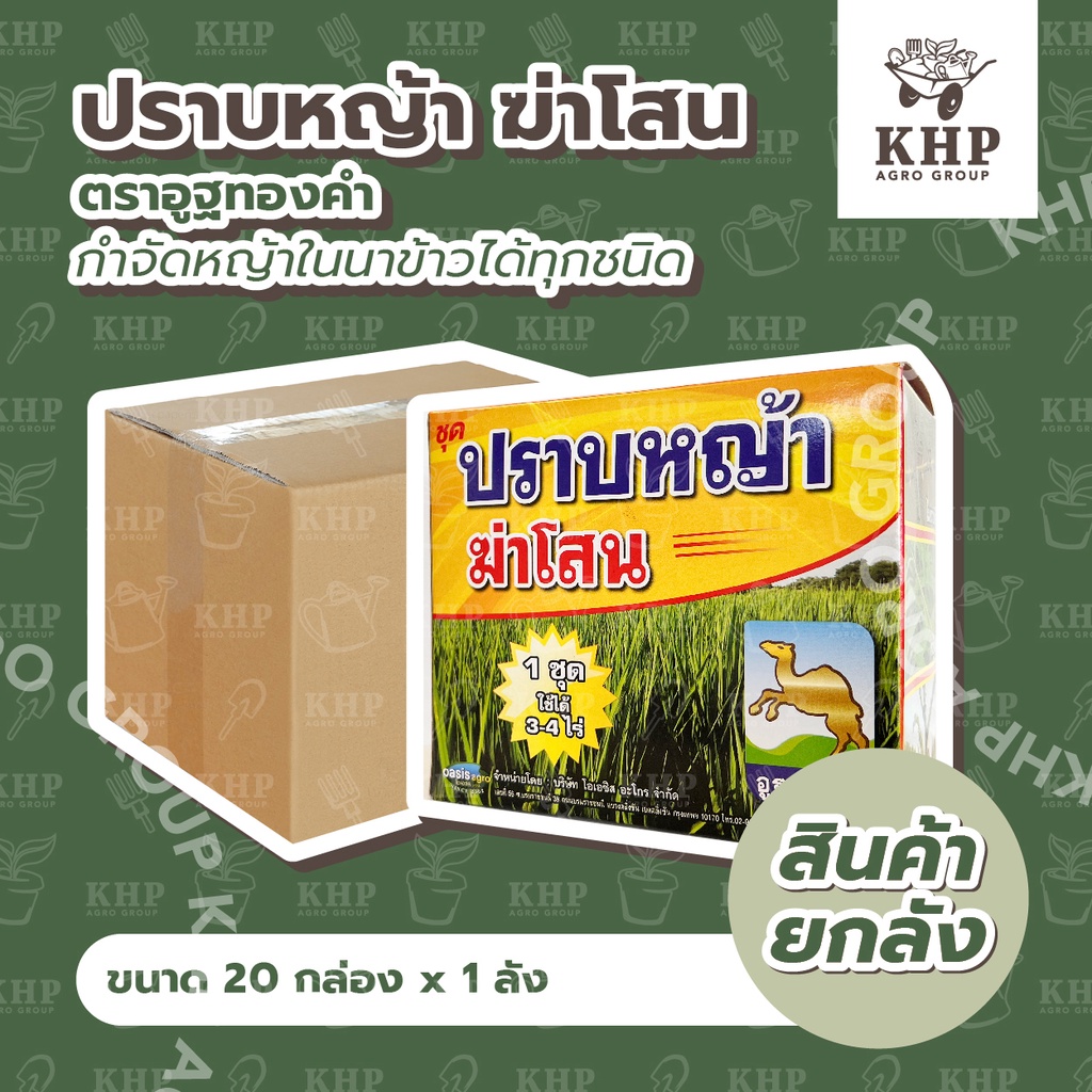 ราคาส่ง ยกลัง x 20 กล่อง ปราบหญ้า ฆ่าโสน ยาฆ่าหญ้าในนาข้าว 🌾 กำจัดหญ้าทุกชนิด ข้าวไม่แดง กลิ่นไม่เหม