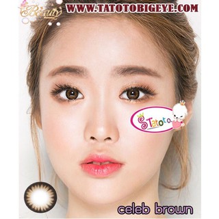 Celeb Brown  TATOTO Contact Lenses คอนแทคเลนส์ #14