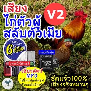 (MP3 เสียงต่อสัตว์) เสียงไก่ผู้+เมียV.2 [6ชั่วโมง] ใส่แฟลชไดร์ฟ/เมมโมรี มีเก็บเงินปลายทาง เสียงดี ชัด100% ไม่มีโฆษณาแทรก