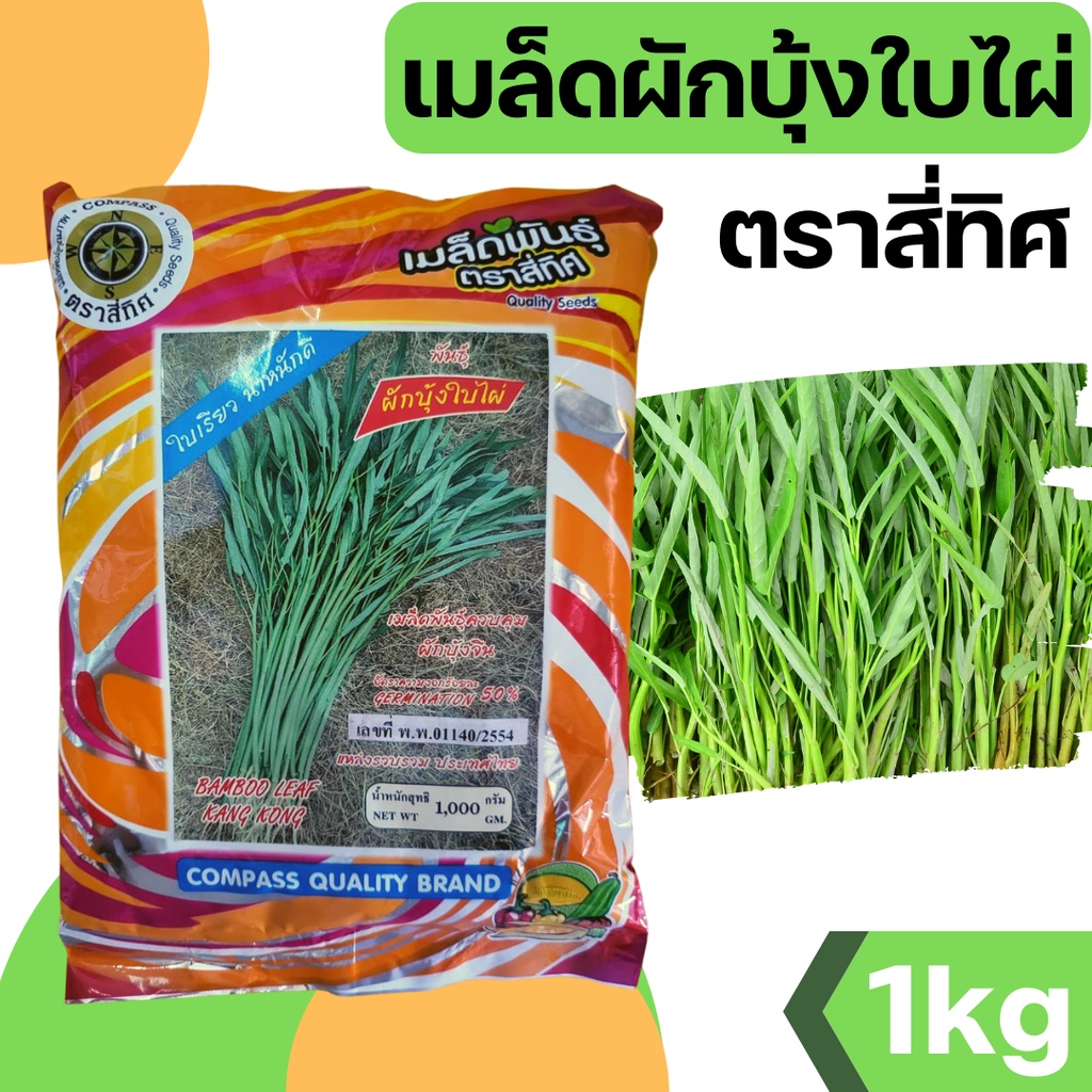 [1kg] เมล็ดพันธุ์ผักบุ้ง เมล็ดผักบุ้ง ใบไผ่ ผักบุ้ง 1 กก.
