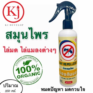 KJ develop ไล่มด ไล่แมลงสาบ ไล่แมลงต่างๆ สกัดจากธรรมชาติ 100% สูตรเข้มข้น