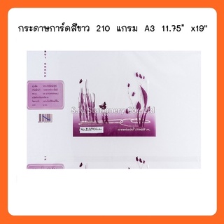 กระดาษการ์ด 210g A3 ขาว พิเศษ 11.75"  x 19 ( 2 แพ็ค )