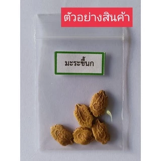 เมล็ดพันธุ์ผัก บรรจุซองซิป ซื้อ 10 แถม 1 คละได้ ชุดที่ 2