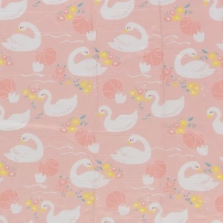 Airy หมอนระบายอากาศ สำหรับเด็ก 6 เดือนขึ้นไป รุ่นเลิฟลี่ใยไผ่ (ขนาด 24x40x3 ซม.)