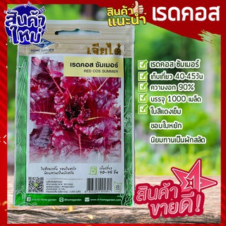 เจียไต๋ 🥦เมล็ดพันธุ์ เรดคอส 1000 เมล็ด Red cos  ผักสลัด เมล็ดสลัดเรดคอส ซัมเมอร์