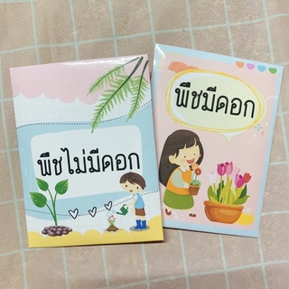 สื่อการสอน "พืชมีดอก และพืชไม่มีดอก" วิชาวิทยาศาสตร์ *บัตรภาพพร้อมซองใส่ 1 ชุด ได้ทั้ง 2 อย่าง