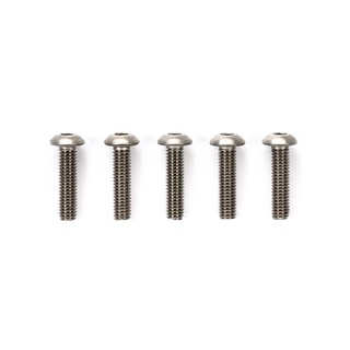 TAMIYA 53531 3x12mm TITANIUM ROUND HEX HEAD SCREW (5PCS.)