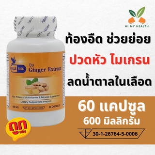 ขิง Ginger Extract ขิงสกัดแคปซูล ขนาด 600 มิลลิกรัม 60 แคปซูล ตรา บลูเบิร์ด Bluebird