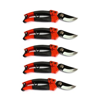 SOLO Pruning Shears กรรไกรตัดกิ่ง 8นิ้ว (5 อัน)