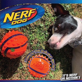 Nerf Dog Light up เนิร์ฟด็อก ลูกบอลหนาม 6ซม. มีไฟ แข็งแรงทนทาน หมาใหญ่เล่นได้ Two-Tone TPR Spike Ball