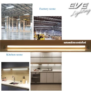EVE (ลดล้างสต๊อก) หลอดแอลอีดี T8 (ไม่รวมชุดรางไฟ) รุ่น ECO ขนาด 8W 9W แสงขาว แสงเหลือง