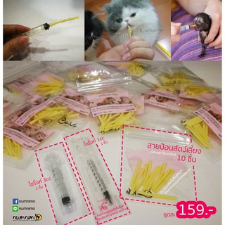 เซ็ทสายป้อนนม และอาหาร แถมฟรีไซริ้งค์ (Feeding teat + Syringe set)