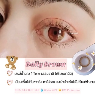 คอนแทคเลนส์รายเดือน รุ่น Daily Brown bylensland