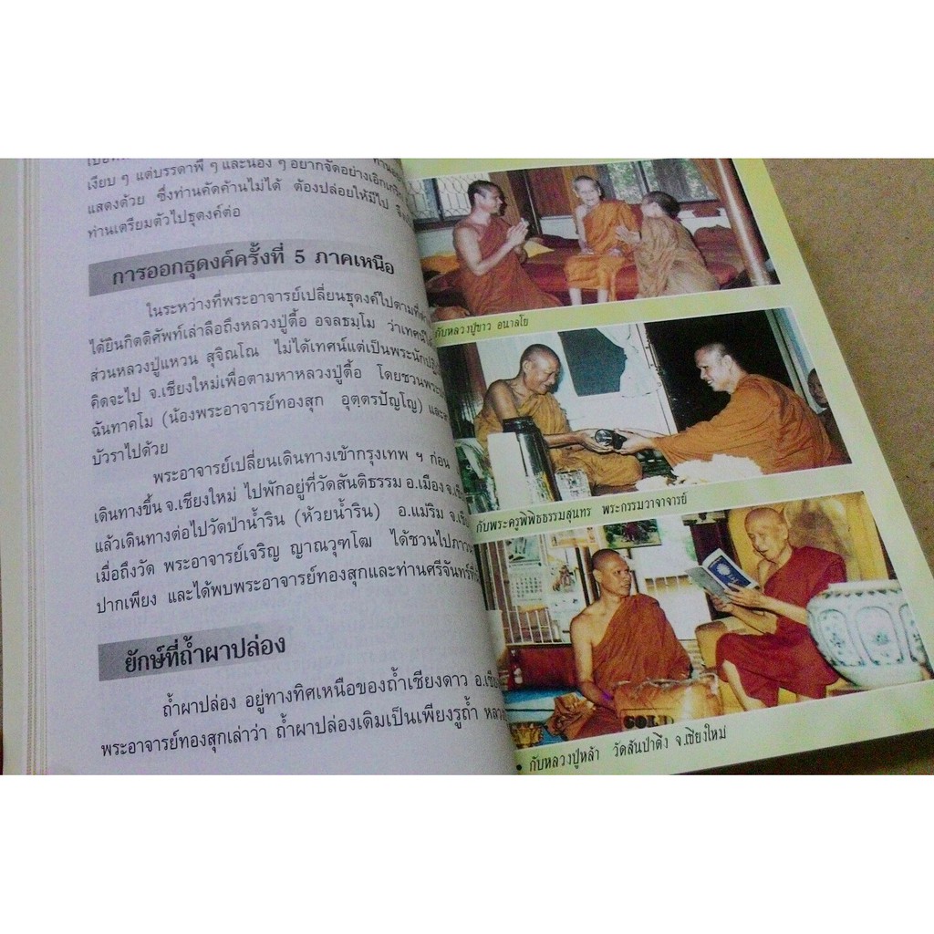My Image 17