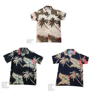 เสื้อฮาวาย Hawaii 🌴 ต้นมะพร้าว