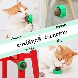 PP-258 แคทนิปบอล (Catnip Ball) ลูกบอลสมุนไพรแมว ของเล่น ขนมเลีย แปะแนวตั้งได้