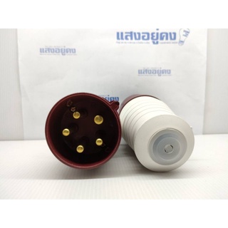 ปลั๊กตัวผู้ IP44 (32A) 380-415V