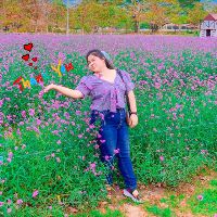 Profile somo_o
