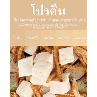 [Bucatstate]อาหารหนูแฮมเตอร์ H1 สำหรับทุกสายพันธุ์ BucatstateH1 Hamster food [BSH1]
