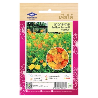 เมล็ดพันธ์ุ ดาวกระจายสีเหลือง ส้ม คละสี 1 กรัม (54 เมล็ด)/ซอง ตราเจียไต๋