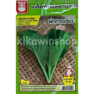 เมล็ดพันธุ์ ผักกาดเขียว เบบี้ชุน Chinese mustard green (10 แถม 1 คละได้)