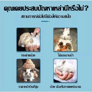 Rabbit Foam500MLโฟมอาบแห้ง แชมพูอาบแห้งกระต่าย สัตว์เล็ก สูตรอ่อนโยน กลิ่นหอมขนสวยดับกลิ่นเลียขนได้จากน้ำแร่ธาตุธรรมชาติ