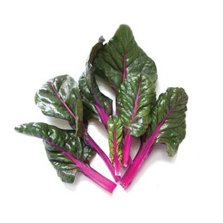 เมล็ด สวิสชาร์ตสีม่วง - Magenta Sunset Swiss Chard