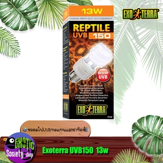 หลอดเกลียว Exo Terra REPTILE UVB 150 13 w.