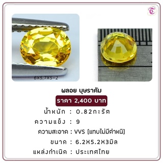 พลอยบุษราคัม Yellow Sapphire ขนาด 6.2x5.2x3.0 มม. พลอยแท้ มีใบรับรอง