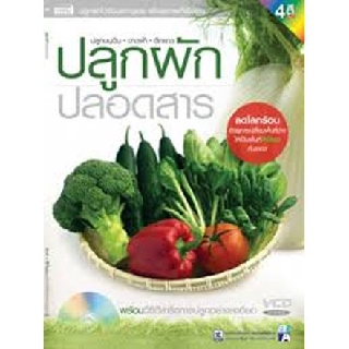 ปลูกผัก ปลอดสาร (ปลูกบนดิน, ดาดฟ้า, ตึกแถว)