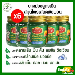 ยาหม่องเขียวชุด 6 ขวดสูตรเย็น เสลดพังพอน บรรเทาอาการออฟฟิศซินโดรม ปวดเมื่อยร่างกาย นวดอโลม่า สปา ตรานันทิสา