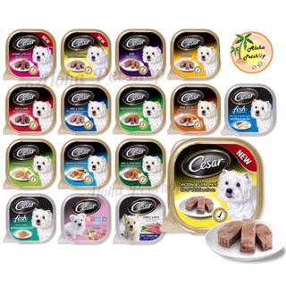 Cesar Premium Dog Tray 🐶ซีซาร์ อาหารเปียกบรรจุถาด 100g ❤️ของสุนัข ขายดิบขายดี