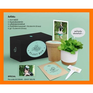 CGM48 PLANT BOX Eien Pressure กระถางต้นไม้พร้อมดินผสมปุ๋ยออร์แกนิก เมล็ดพันธุ์เปปเปอร์มิลต์ ไม่มีรูปสุ่ม