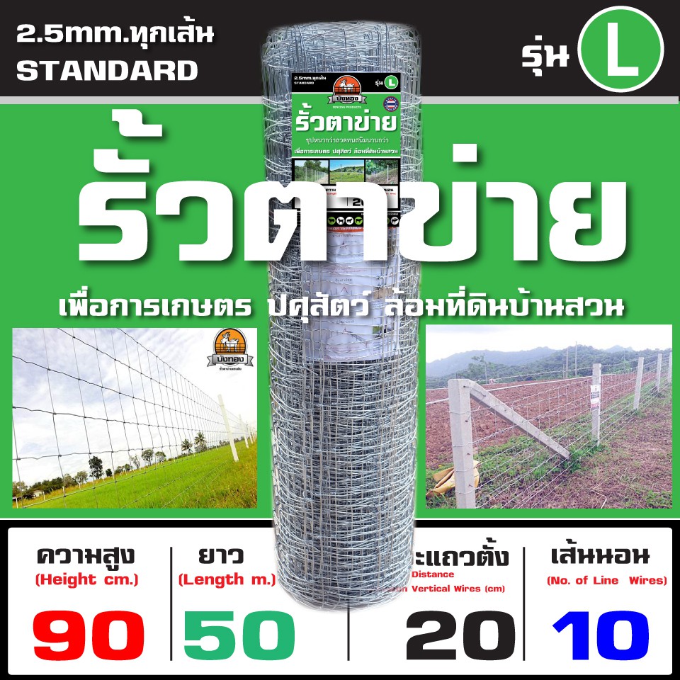 My Image 25