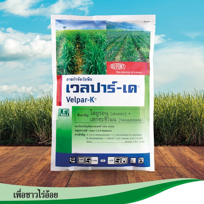 เวลปาร์-เค ไดยูรอน (diuron 46.8% WG + เฮกซะซิโนน (hexazinone 13.2% WG) ขนาด 1000กรัม คุมฆ่าในไร่อ้อย