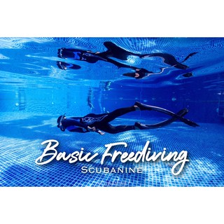 Freediving course คอร์สเรียนดำน้ำ freediving 💕