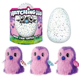 ไข่ฟัก hatchimals ไข่เซอร์ไพรส์ งานเทียบ