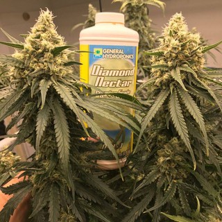 Diamond Nectar by General Hydroponics