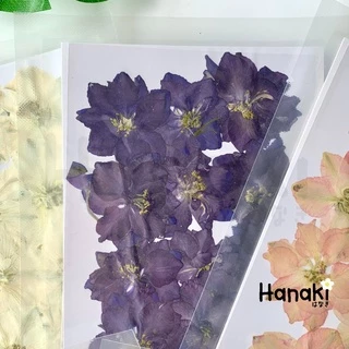 【พร้อมส่ง】ดอกเดลฟินเนียมทับแห้ง (Delphinium) ดอกไม้จริงทับแห้ง ดอกไม้ทับแห้ง Pressed Flowers💐