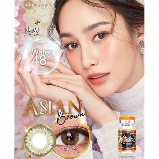 คอนแทคเลนส์ Montra รุ่น Asian Brown