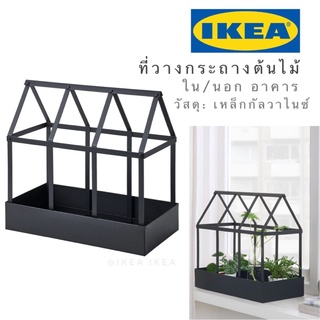 💥สินค้ามาใหม่💥IKEA_SENAPSKÅL เซียนับสกวล ที่วางกระถางต้นไม้ ตู้ปลูกต้นไม้ บ้านต้นไม้ เหล็ก สีดำ