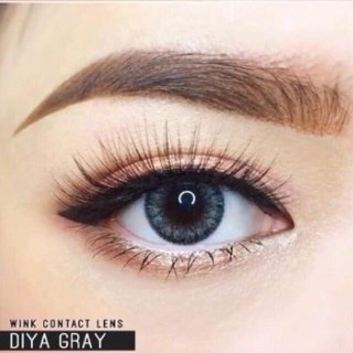 Diya Gray สีเทา ขอบฟุ้ง มินิ เทา สายฝอ ตาฝรั่ง ✨Wink Lens ✨ Contact Lens คอนแทคเลนส์ ค่าสายตา สายตาสั้น แฟชั่น สายตาปกติ