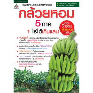 หนังสือเกษตร กล้วยหอม 5 ภาค 1 ไร่ได้เกินแสน(จาก155 ลดเหลือ98)