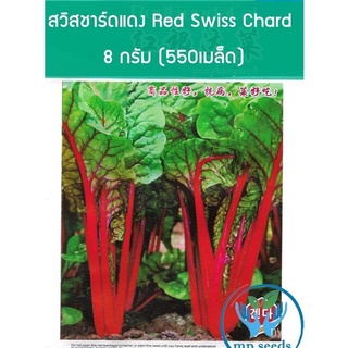 ขายดี สวนครัว/เมล็ด สวิสชาร์ด สีแดง Swiss Chard บรรจุ 550-600 เมล็ด/อินทรีย์ คละ สวนครัว ดอก