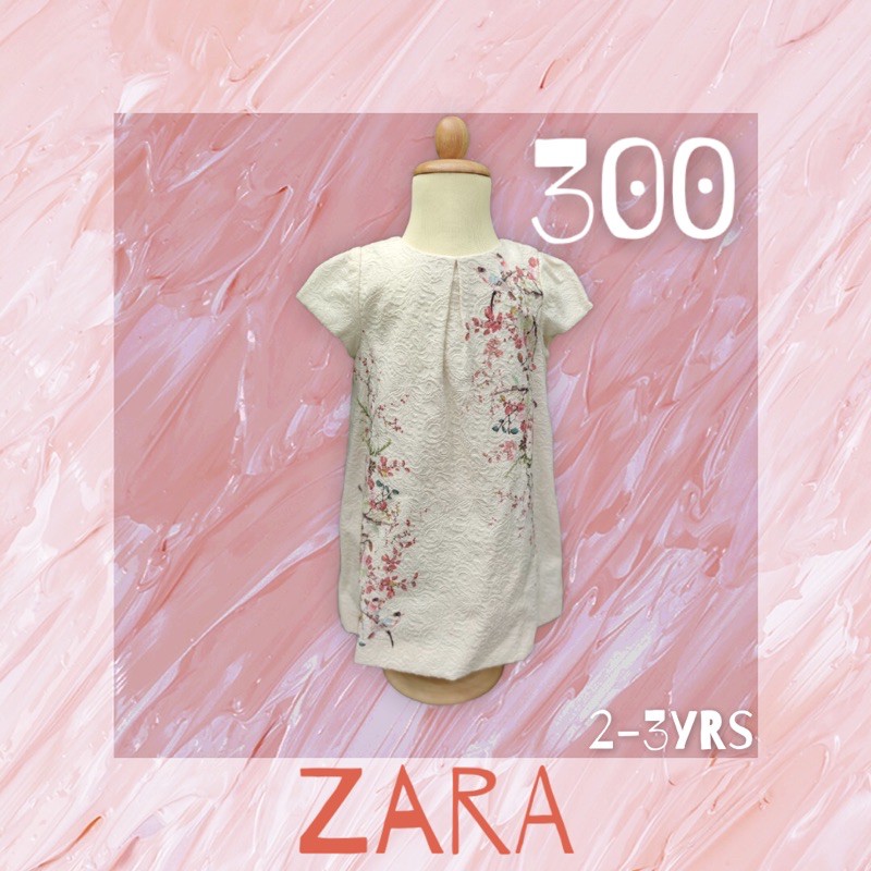 ZARA DRESS KIDS 2-3Yrs