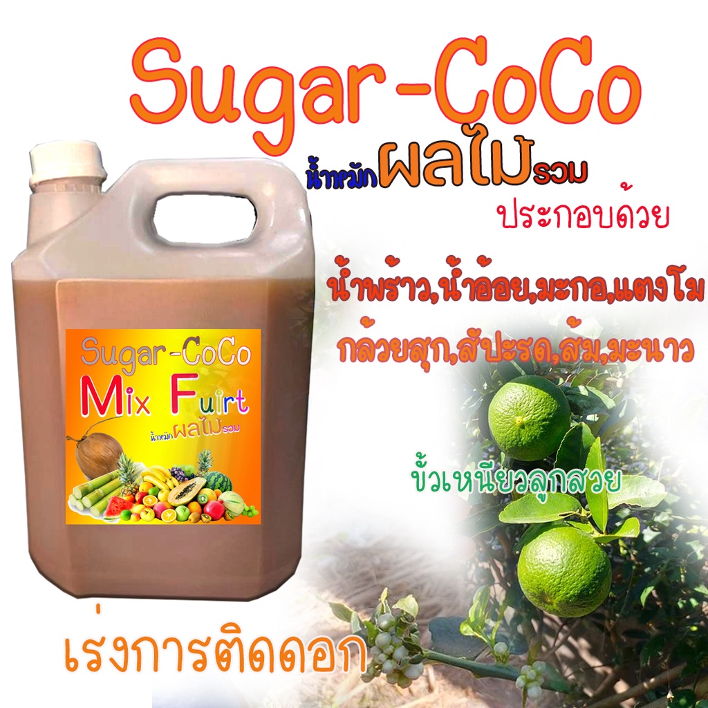 น้ำมะพร้าวหมักผลไม้รวม ขนาด1ล. หัวเชื้อ จุลินทรีย์ ชีวภาพ ต่อเชื้อน้ำหมัก เร่งย่อย เร่งยอด เปิดตาดอกปุ๋ย